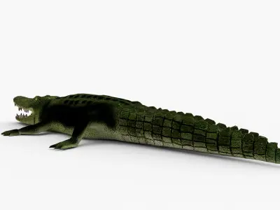 Low Poly Crocodiles Pack 3D Model 3D model