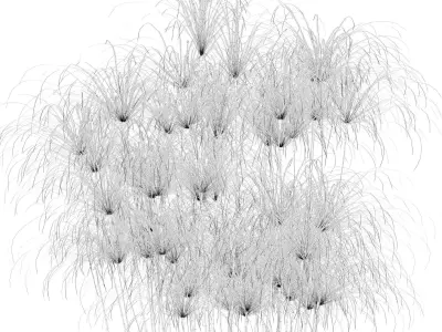 Cyperus nofretete in modern flower pot 3D model