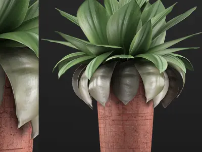 Plants Collection 78 3D model
