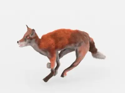Red Fox Low-poly 3D model