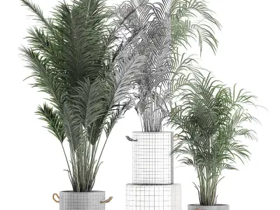 Decorative palm in a flowerpot 598 3D model