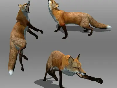 Red and Black Fox Low-poly 3D model
