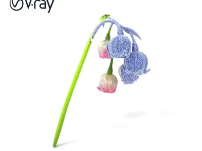 Bicolor Lily of the Valley model pack Low-poly 3D model