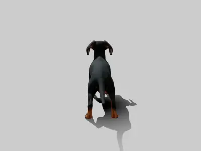 Rigged Animated Pinscher Dog Low-poly 3D model