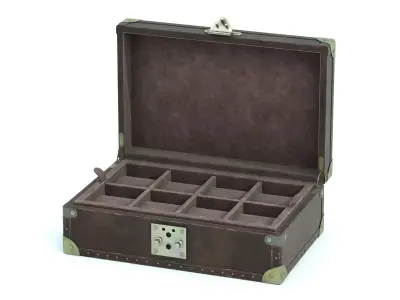 Luxury Vintage Watch Box Worn 3D model