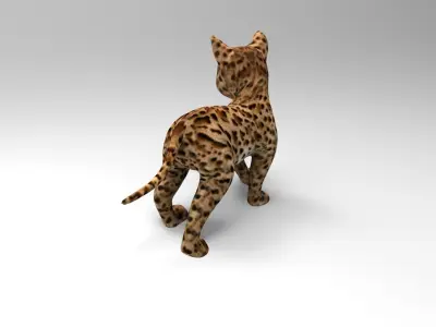 Wild Cat Rigged model Low-poly 3D model