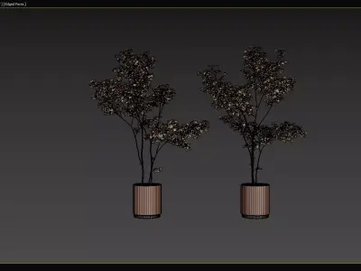 Modern Potted Green Tree 3D Model Collection 3D model