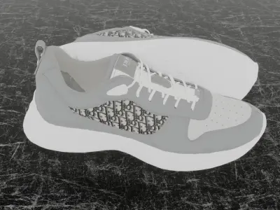 CHRISTIAN DIOR B25 3D SHOES - WHITE 3D model