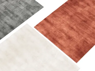 Viscose Rugs 3D model