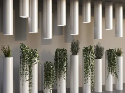 Decorative Plant Cylinders 3D model