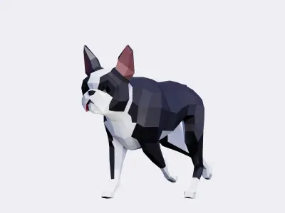 Boston Terrier Dogs Low-poly 3D model