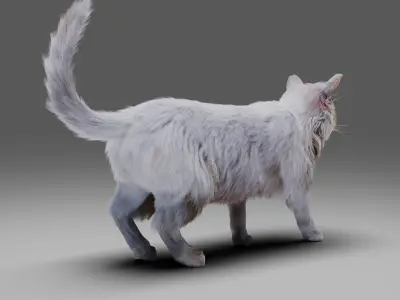 Fur Cat White NO Rigged Low-poly 3D model