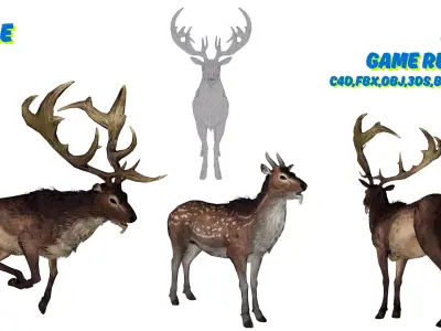 Realistic Deer 3D Model Pack 2 Game Ready Animals  C4D FBX OBJ   Low-poly 3D model