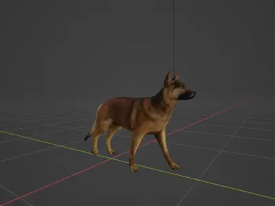 Belgian Tervuren Low Poly Dog Low-poly 3D model