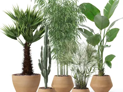 20 Photorealistic Flowers for Interiors - set 124 129 136 137 3D Model Collection