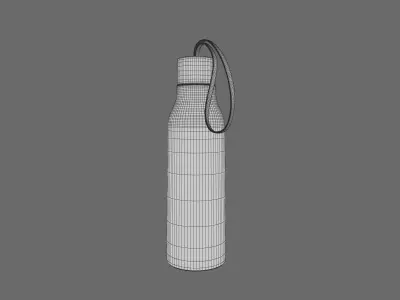 Water Bottle 3D model