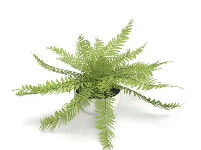 Faux Potted Fern Plant 10in  PBR 3D model