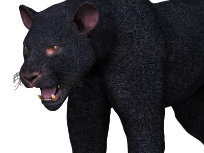 Black Panther Low-poly 3D model