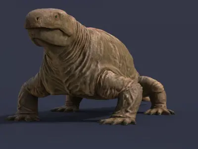 Diadectes sideropelicus Low-poly 3D model