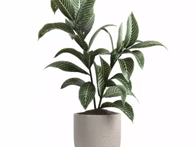 indoor plant 47 3D model