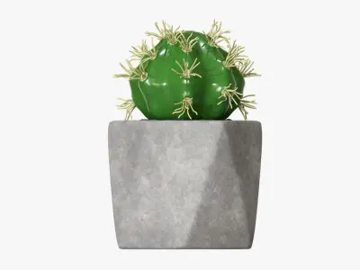 Potted plant decorative 09 3D model