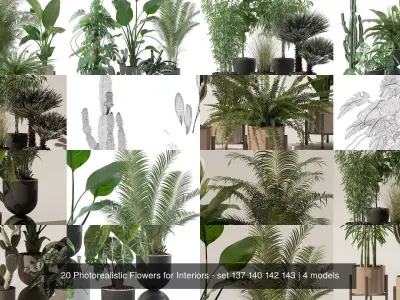 20 Photorealistic Flowers for Interiors - set 137 140 142 143 3D Model Collection