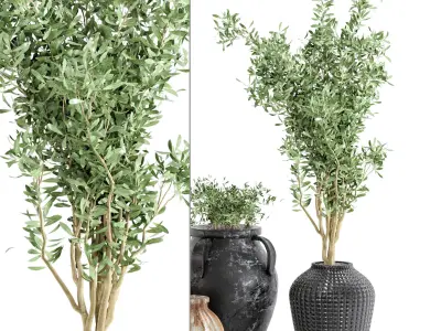 Outdoor Plants tree in rusty Concrete Pot  Set 1 3D model