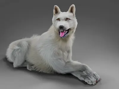 Fur White Dog Rigged Low-poly 3D model
