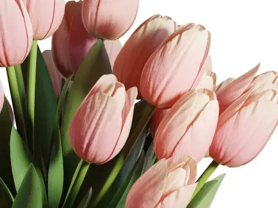 Flower Set 18 - Pink Tulips Bouquet 3D model