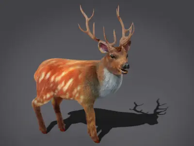 Fur Rigged Deer Stag Low-poly 3D model