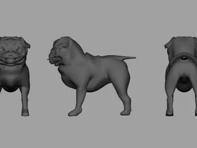 bulldog 3d model pug dog Low-poly 3D model