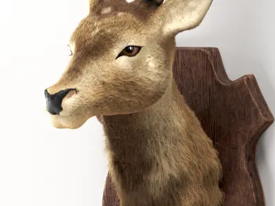 Deer head 3d model Low-poly 3D model