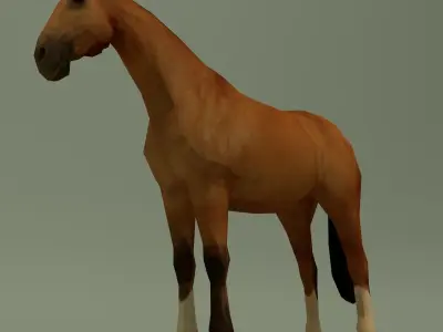 LowPoly Horse A Buckskin Low-poly 3D model