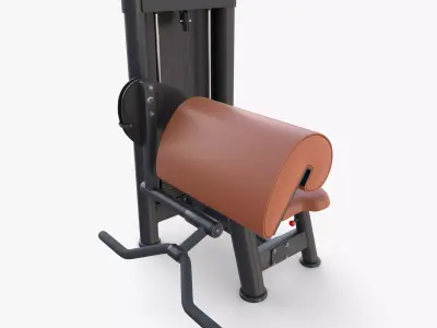 Curl machine 3D model