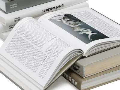 Floor decor set 001 with pouf and books 3D model