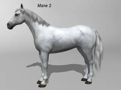 Horses 4 in 1 Bundle 3D model