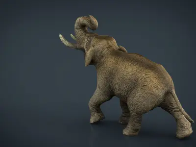 Asian Elephant Low-poly 3D model
