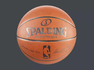 Basketball NBA Spalding PBR 3D model