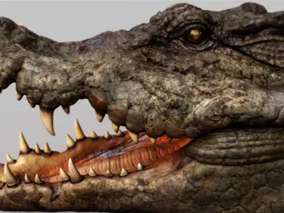 Crocodile 3d model  3D model