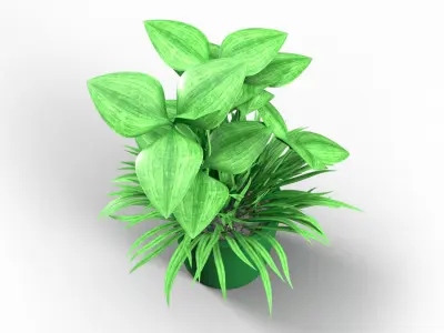 Decorative Pot Clover Low-poly 3D model