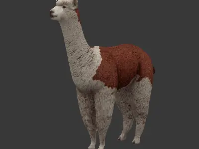 Alpaca llama Low-poly 3D model