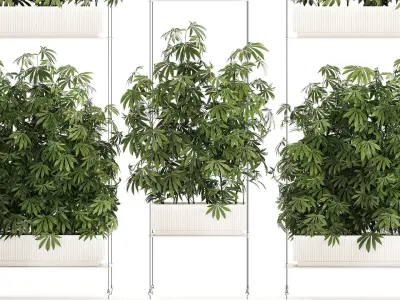 Garden plantation Bushes Hemp Marijuana Cannabis 1428 3D model