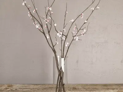 Cherry branches 3D model