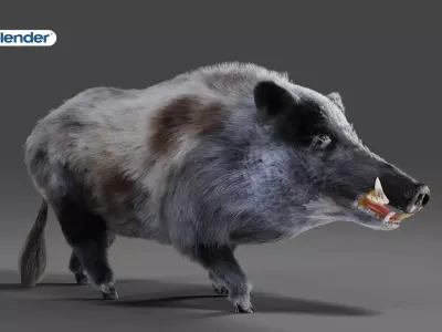 Fur Black Wild Boar Rigged V04 in Blender Low-poly 3D model