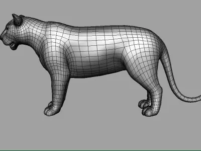 Tiger Rigged 3D model