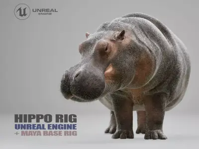 Hippopotamus Rig UNREAL project  Maya base rig 3D model
