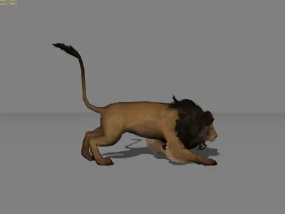 Lion Male Animal Low-poly 3D model