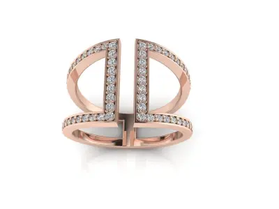 Ring 98 3D print model