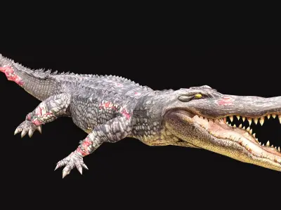 Low Poly Alligator 3D Animal - Ready for Games -22 Animations Low-poly 3D model