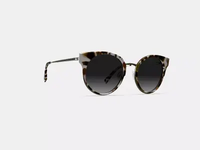 Cleo Sunglasses in Pearled Tortoise with Riesling 3D model